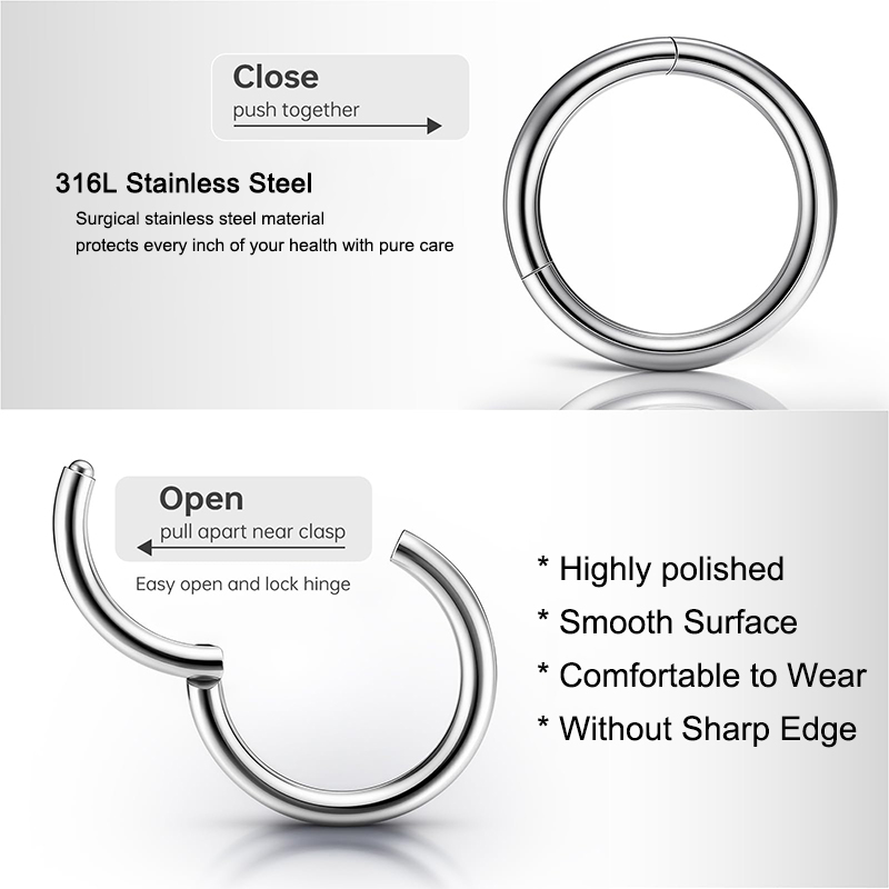 16G 316L Surgical Steel Hinged - Body Jewelry Ear review and price