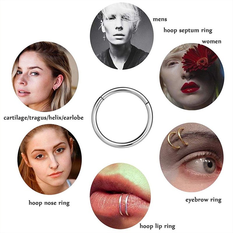 16G 316L Surgical Steel Hinged - Body Jewelry Ear review and price