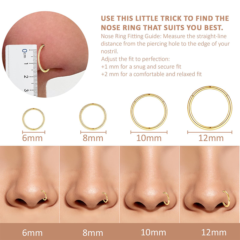 16G 316L Surgical Steel Hinged - Body Jewelry Ear review and price