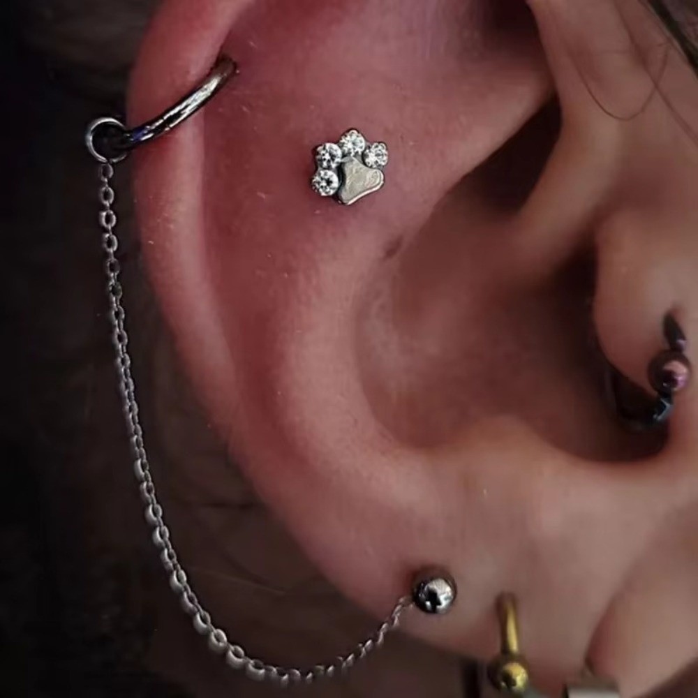 Titanium Nose Chain Three Laye - Body Jewelry Ear review and price