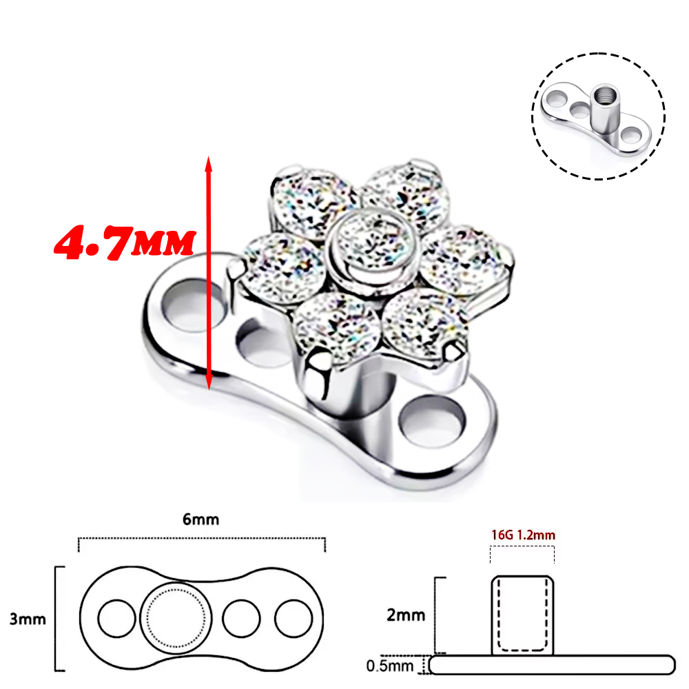 F136 Titanium Alloy High-Quali - Body Jewelry Implant Grade Titanium review and price